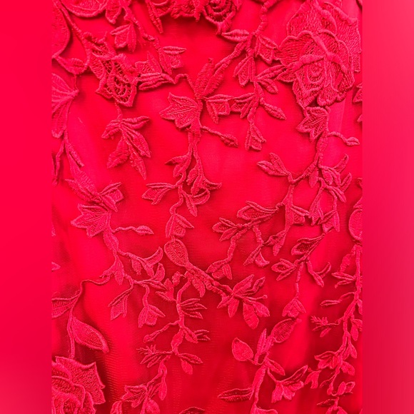 Prom/formal dress- camille la vie, red lace + tulle. hemmed to fit 5”2 person - Picture 4 of 7